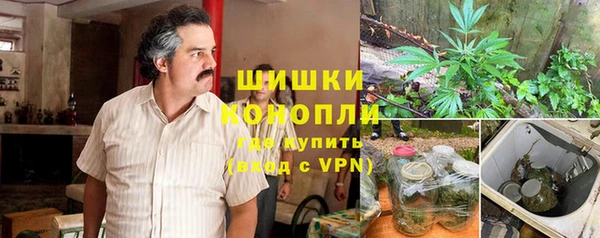 apvp Аркадак