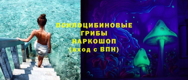apvp Аркадак