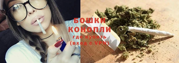 apvp Аркадак